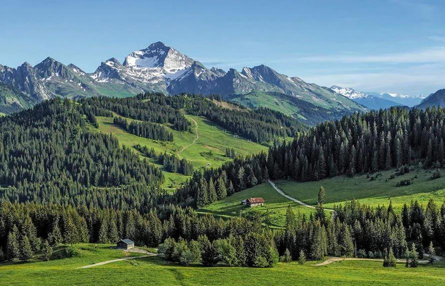Hotel Les Aravis Saint-Jean-de-Sixt Dış mekan fotoğraf